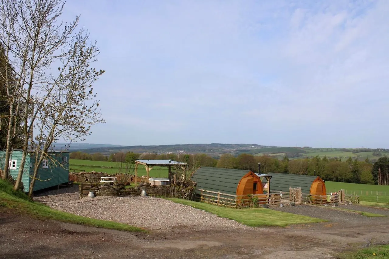 Campsite West Wood Yurts Ltd Hotel Newcastle upon Tyne United Kingdom