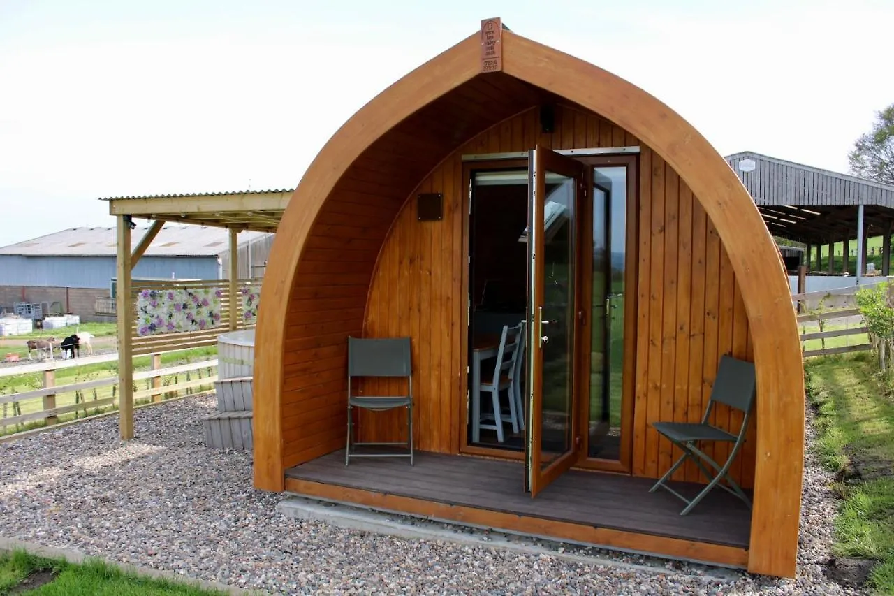 West Wood Yurts Ltd Hotel Newcastle upon Tyne