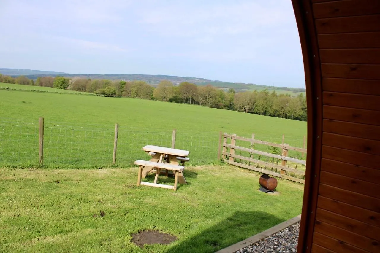 West Wood Yurts Ltd Hotel Newcastle upon Tyne Campsite