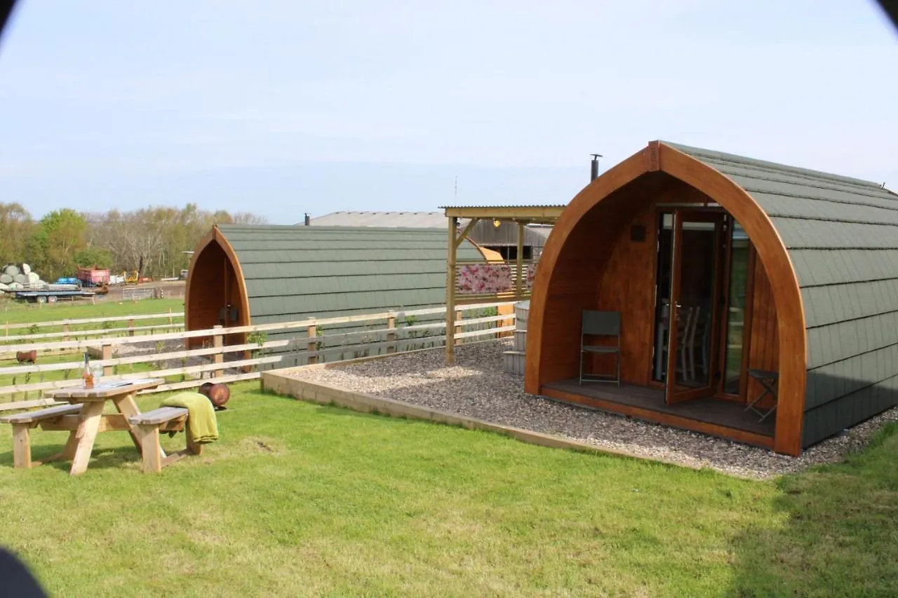 Campsite West Wood Yurts Ltd Hotel Newcastle upon Tyne United Kingdom