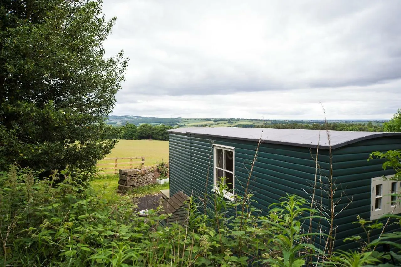 West Wood Yurts Ltd Hotel Newcastle upon Tyne